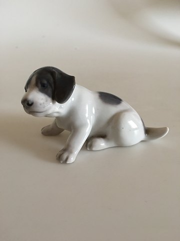 Royal Copenhagen Figurine Pointer Puppy No. 1311 pre 1923
