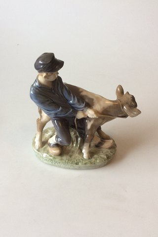 Royal Copenhagen Figurine Boy with Calf No. 772