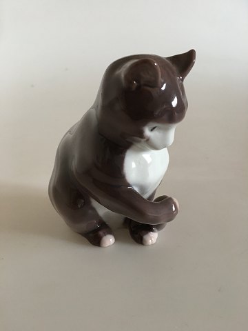 Bing og Grondahl Figurine of Cat No. 1553
