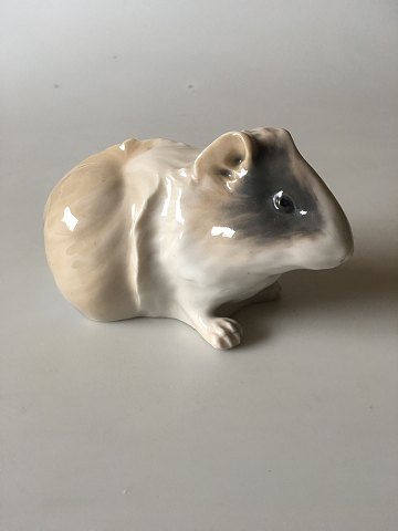 Royal Copenhagen Figurine of Guinea Pig No. 503