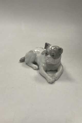 German Bulldog Porcelain Figurine
