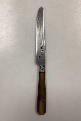 Tilquin-Anvers Stainless Dining Knife - 25 cm