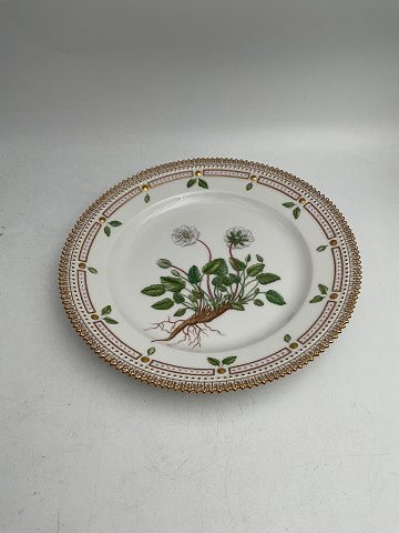 Royal Copenhagen Flora Danica Lunch Plate No. 20/3550