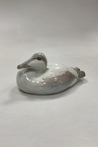 Bing and Grøndahl Figurine of Eider Duck/Drake No. 1507